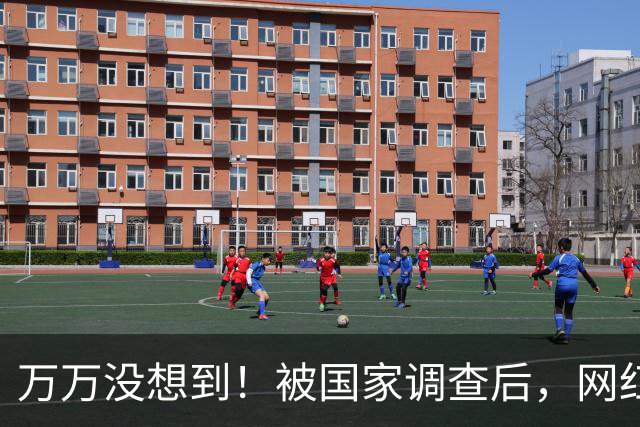 万万没想到！被国家调查后，网红白冰再曝坏消息，为荒唐付了代价