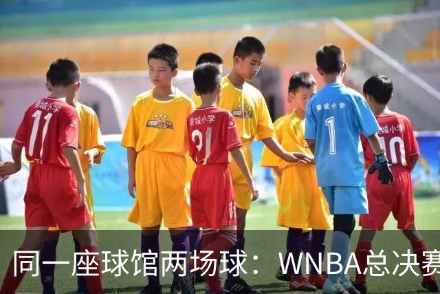 同一座球馆两场球：WNBA总决赛G6与NBA赛程撞车